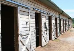 horse-shed-row
